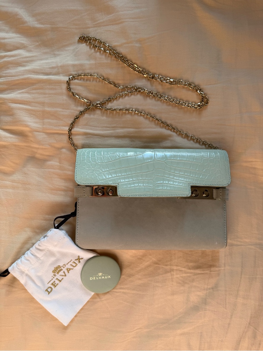 Delvaux Two-Tone Crossbody Bag in Mint and Taupe